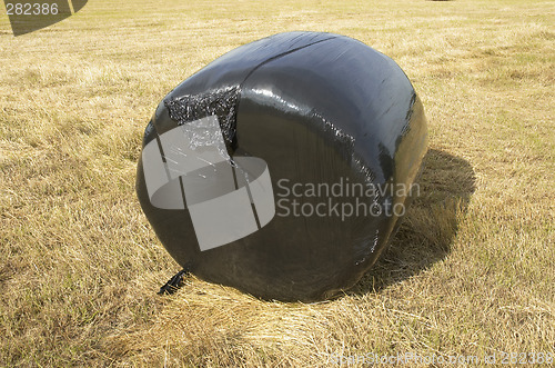 Image of Plastic bale