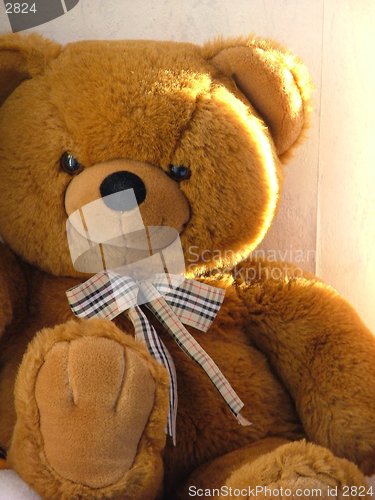 Image of teddy bear