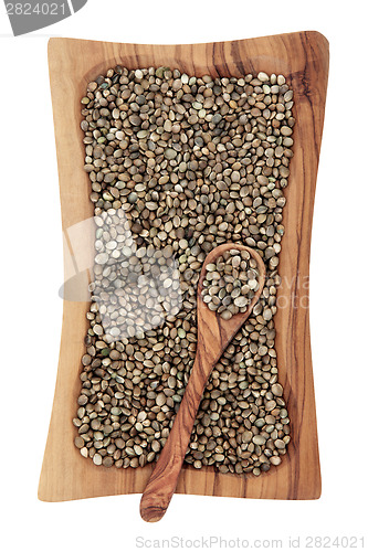 Image of Hemp Seed