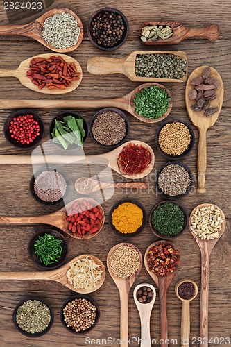 Image of Spices and Herbs