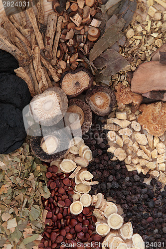 Image of Chinese Herbs