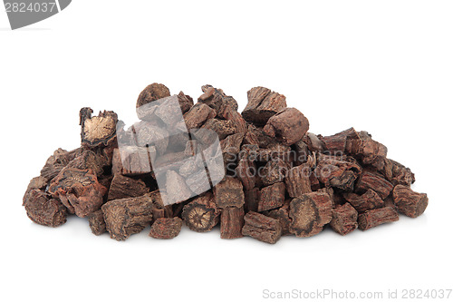 Image of Red Sage Root 