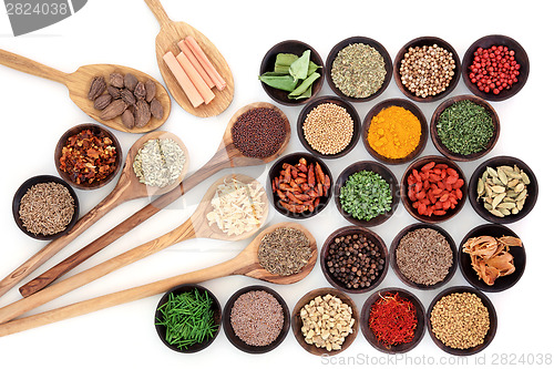 Image of Culinary Herbs and Spices