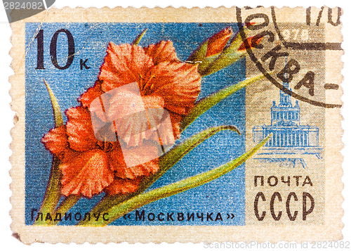 Image of Stamp printed in USSR (CCCP, soviet union) shows image of gladio