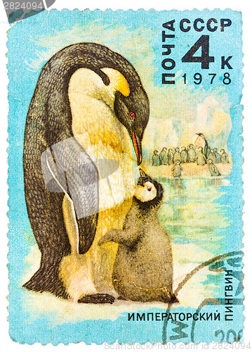 Image of Stamp printed by Russia, shows Emperor penguin and chick