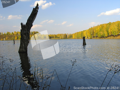 Image of Autumn view of lake and forest