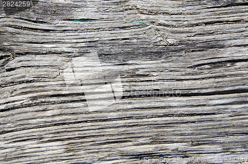 Image of Weathered wooden surface