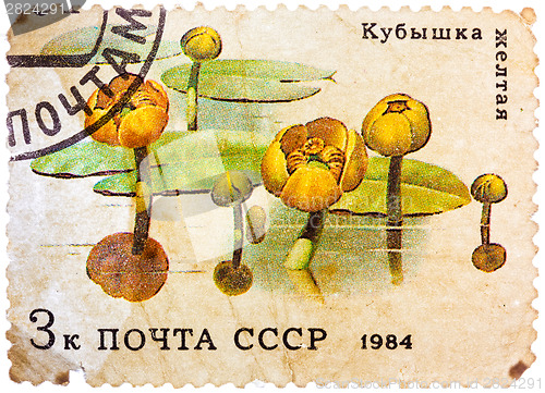 Image of Post stamp printed in USSR (CCCP, soviet union) shows image of w