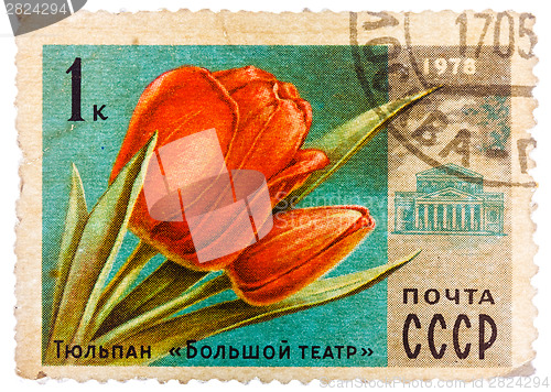 Image of Post stamp printed in USSR (CCCP, soviet union) shows image of t