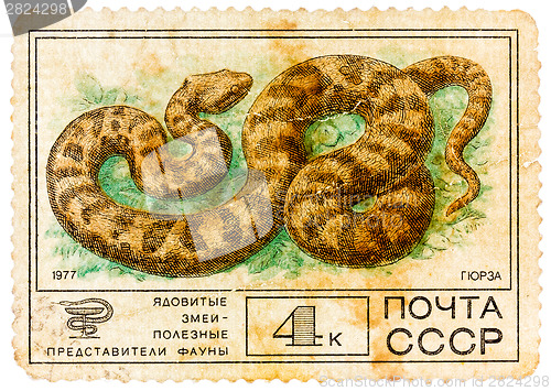 Image of Stamp sheet printed in Russia shows Viper, collection of Protect