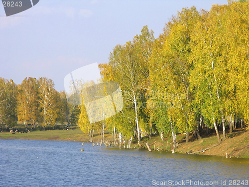 Image of Autumn view