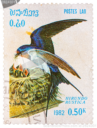 Image of Stamp printed in LAOS shows Barn Swallow (Hirundo Rustica), from