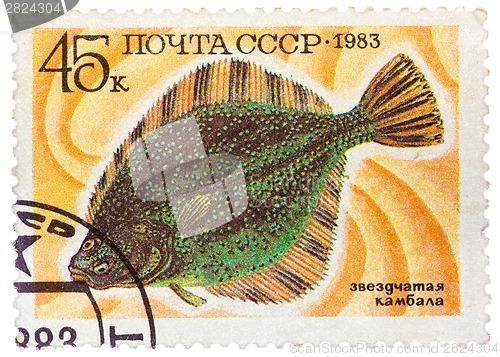 Image of Stamp printed by Russia, shows underwater fish flounder