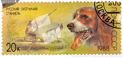 Image of Stamp printed in USSR, shows Russian spaniel, duck hunt, series 