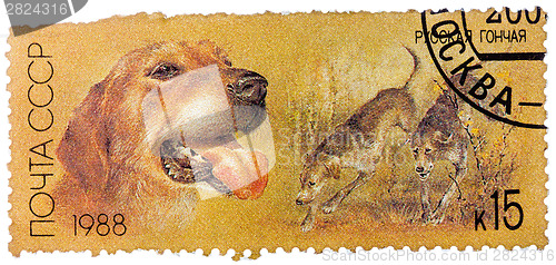 Image of Stamp printed in USSR, shows Russian retrievers, series Hunting 