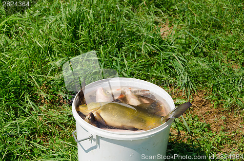 Image of big fish fishing catch in bucket water on meadow 
