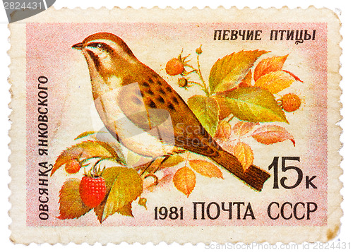 Image of Stamp printed by Russia, shows bird, Jankowski's Bunting