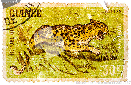 Image of Stamp printed in Guinea from the "Wild Animals" issue shows a Le