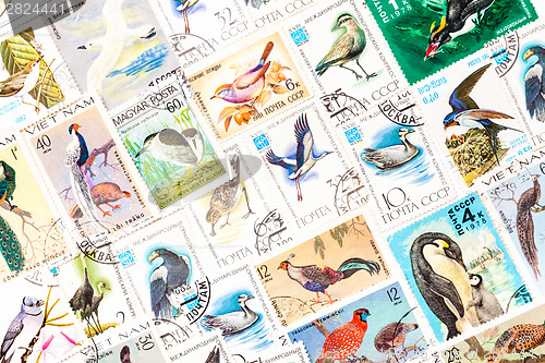 Image of Stamps printed in the USSR, united by one theme - "Wild Birds", 