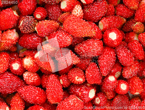 Image of Strawberry. Strawberries. Organic Berries Background