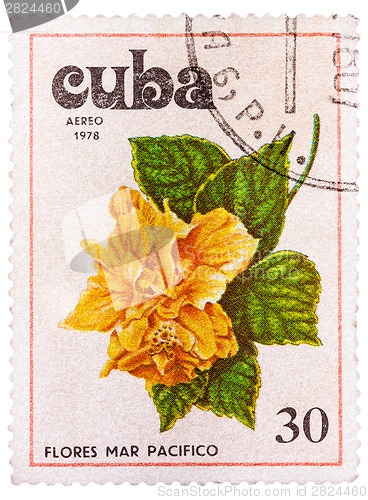 Image of Stamp printed in Cuba shows image Tues flowers pacifist