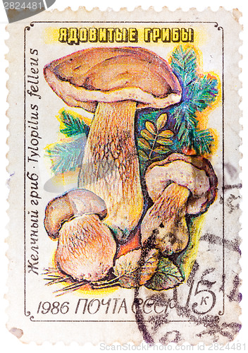 Image of Stamp printed in USSR, Tylopilus felleus, formerly Boletus felle
