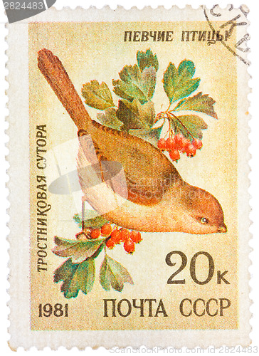 Image of Stamp printed by Russia, shows bird, Reed Parrotbill