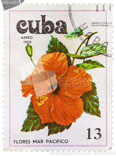 Image of Postage Stamp Shows Flowers of the Pacific Ocean
