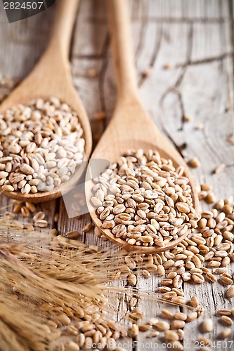 Image of wheat grain in wooden spoons 