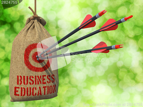 Image of Business Education - Arrows Hit in Red Mark Target.