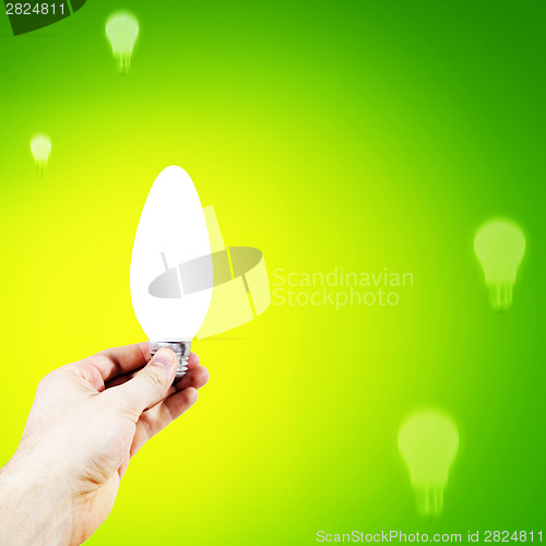 Image of White bulb