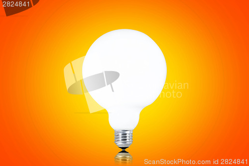 Image of White bulb