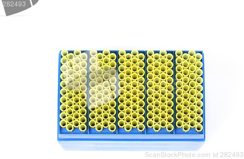 Image of Top view pipet tips