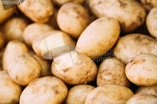 Image of Fresh organic young raw potatoes for selling at vegetable market