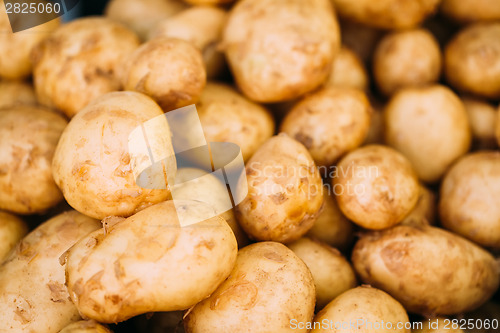 Image of Fresh organic young raw potatoes for selling at vegetable market