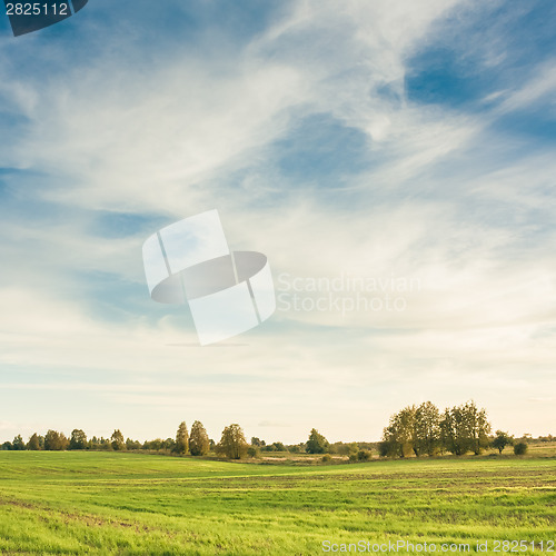 Image of Green Field And Blue Sky