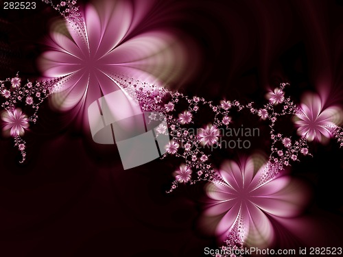 Image of Flowers on a black background