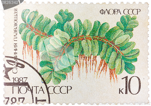Image of Stamp printed in the USSR shows Floating Salbiniya