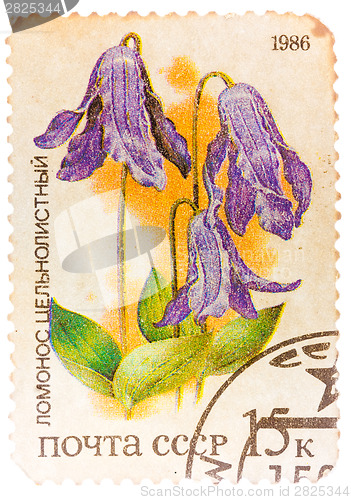 Image of Stamp printed by Russia, shows flower, Clematis integrifolia