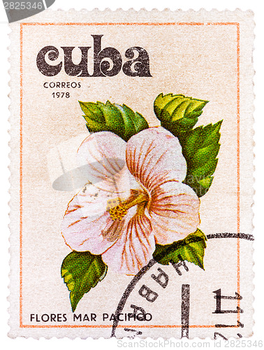 Image of Stamp printed in Cuba shows image Tues flowers pacifist