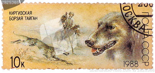 Image of Stamp printed in USSR, shows Kirghiz greyhound, falconry, series