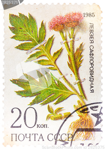 Image of Stamp from USSR, shows medicinal plant from Siberia