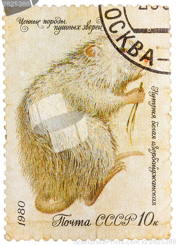 Image of Series "Fur-bearing Animals" stamps printed by the USSR shows "N