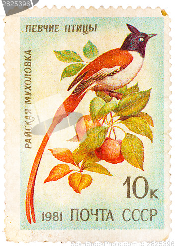 Image of Stamp printed in USSR, shows Terpsiphone paradisi