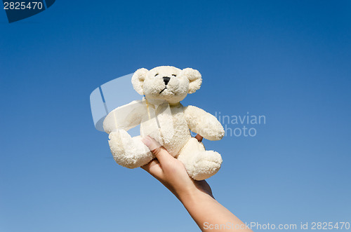 Image of fluffy teddy bear in hand on blue sky background 