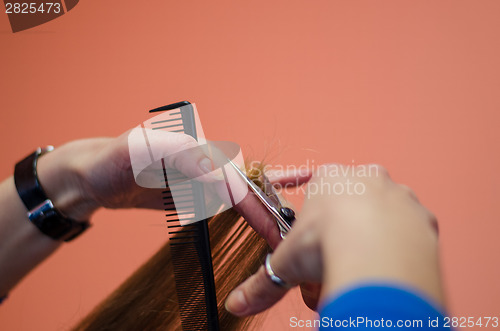 Image of close up of hairdresser hand cut hair woman 