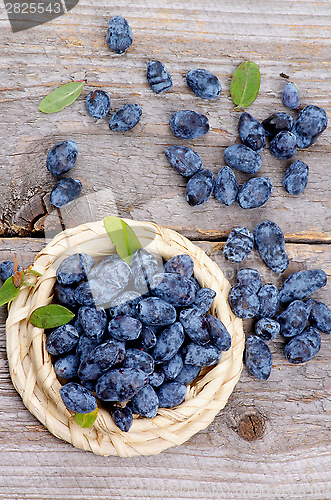 Image of Honeysuckle Berries