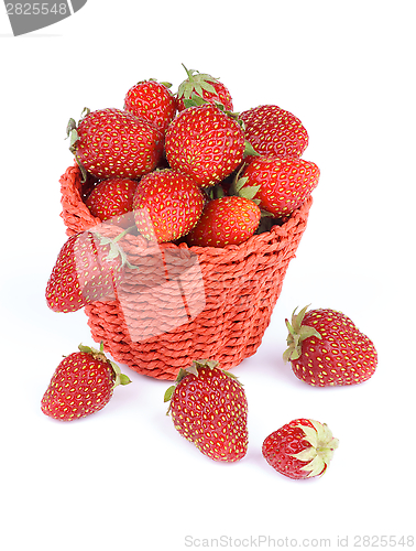 Image of Forest Strawberries