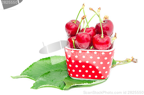 Image of Natural organic summer nutrition big ripe cherry berry