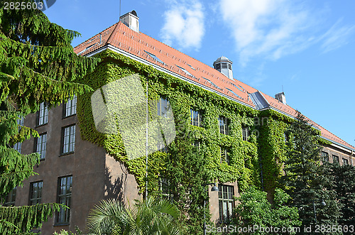 Image of Natural History Museum at the University Botanical Garden in Oslo